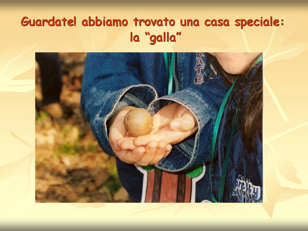 Progetto di Educazione Ambientale "Territorio, Paesaggio, Patrimonio naturale dell