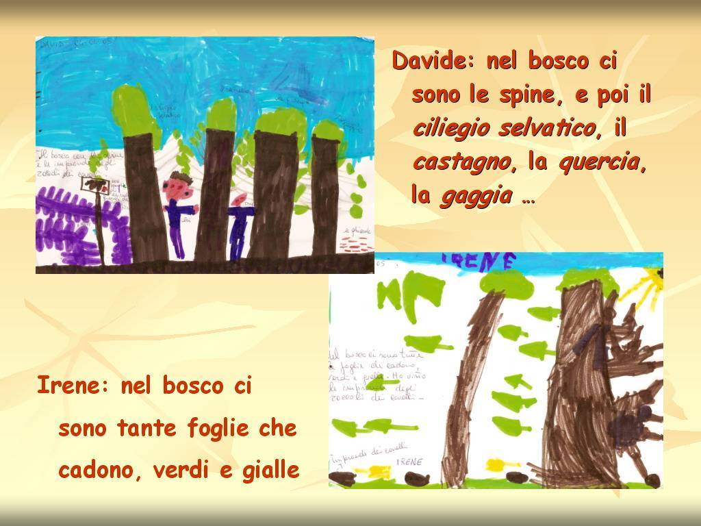 Progetto di Educazione Ambientale "Territorio, Paesaggio, Patrimonio naturale dell