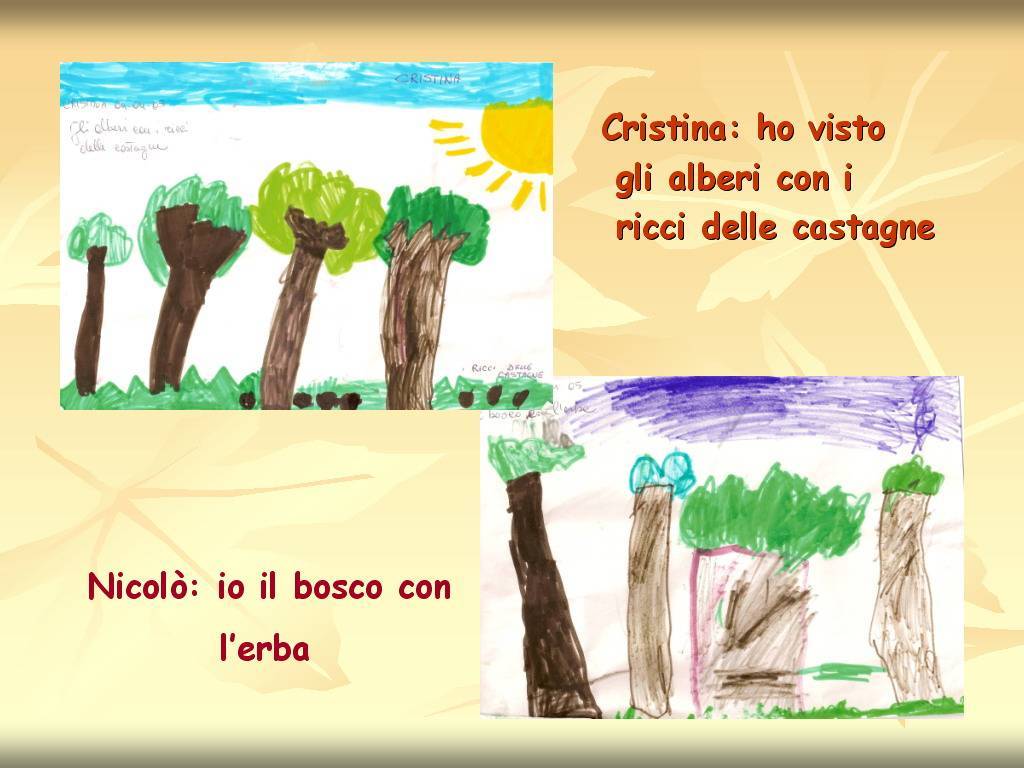 Progetto di Educazione Ambientale "Territorio, Paesaggio, Patrimonio naturale dell