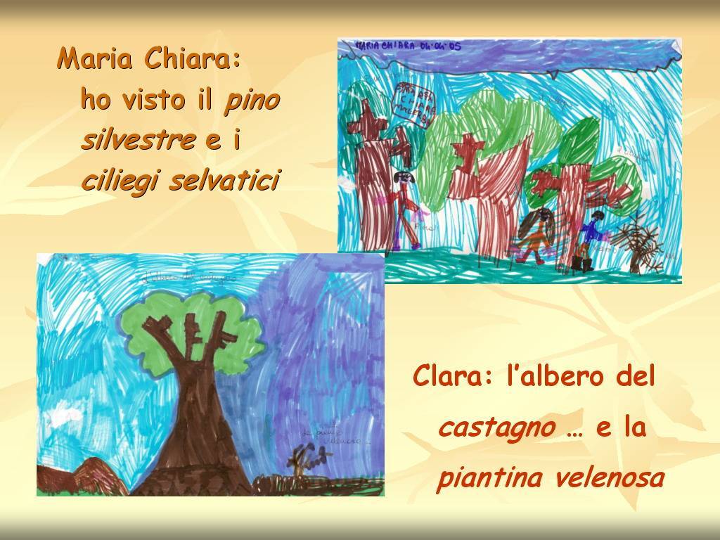 Progetto di Educazione Ambientale "Territorio, Paesaggio, Patrimonio naturale dell