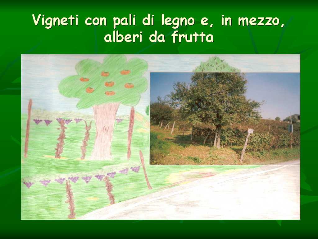 Progetto di Educazione Ambientale Territorio, Paesaggio, Patrimonio naturale Astigiano e nel Monferrato " CASTELBOGLIONE IERI  e OGGI"