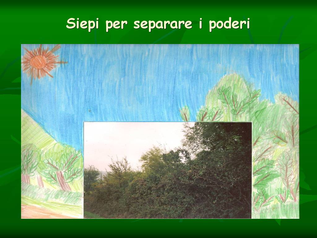 Progetto di Educazione Ambientale Territorio, Paesaggio, Patrimonio naturale Astigiano e nel Monferrato " CASTELBOGLIONE IERI  e OGGI"