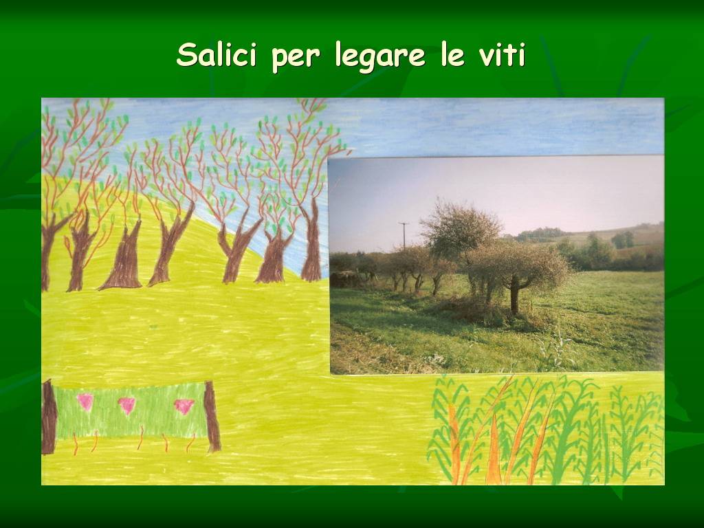 Progetto di Educazione Ambientale Territorio, Paesaggio, Patrimonio naturale Astigiano e nel Monferrato " CASTELBOGLIONE IERI  e OGGI"