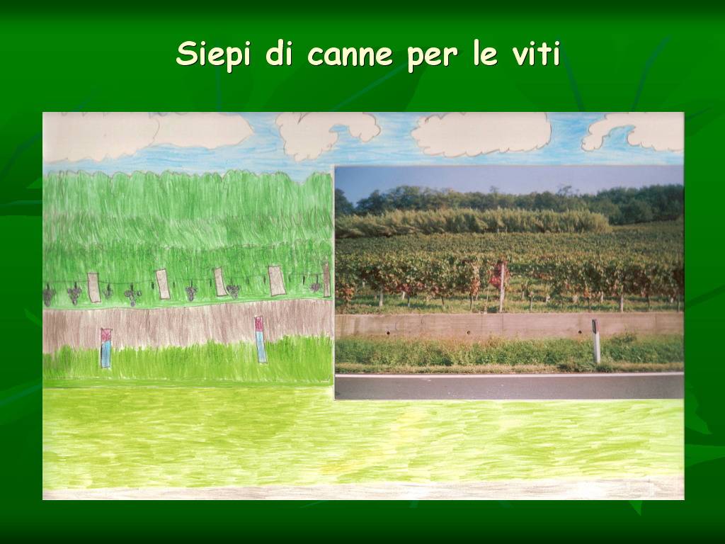 Progetto di Educazione Ambientale Territorio, Paesaggio, Patrimonio naturale Astigiano e nel Monferrato " CASTELBOGLIONE IERI  e OGGI"