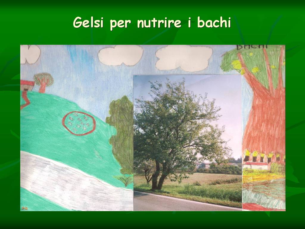 Progetto di Educazione Ambientale Territorio, Paesaggio, Patrimonio naturale Astigiano e nel Monferrato " CASTELBOGLIONE IERI  e OGGI"