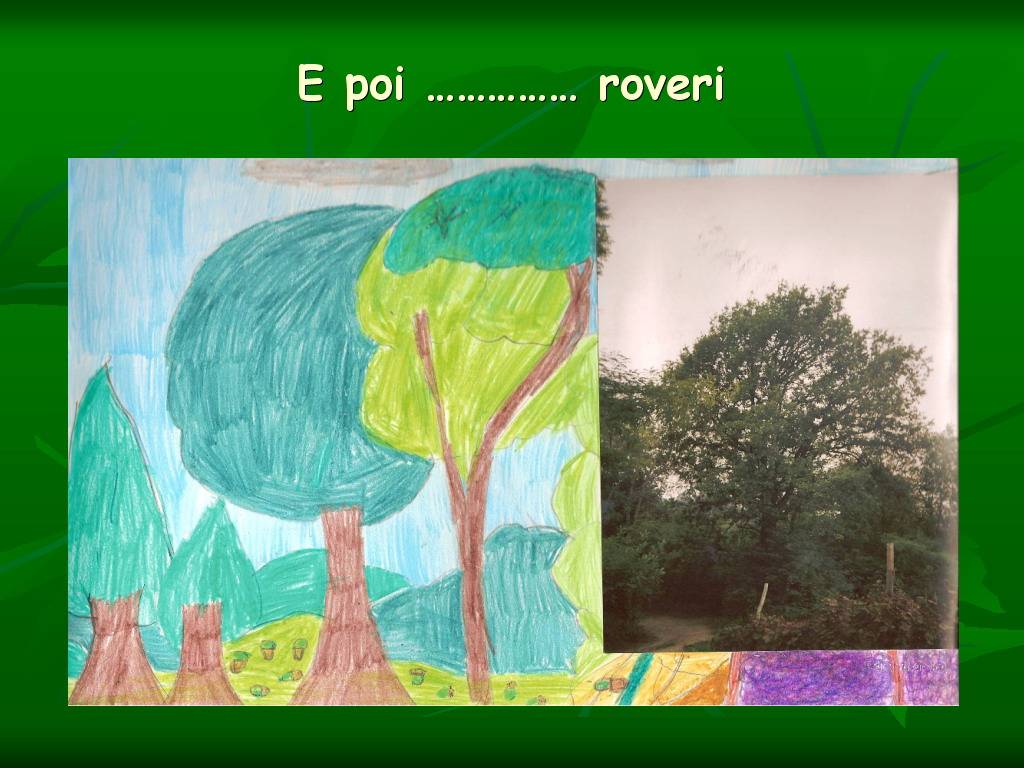 Progetto di Educazione Ambientale Territorio, Paesaggio, Patrimonio naturale Astigiano e nel Monferrato " CASTELBOGLIONE IERI  e OGGI"