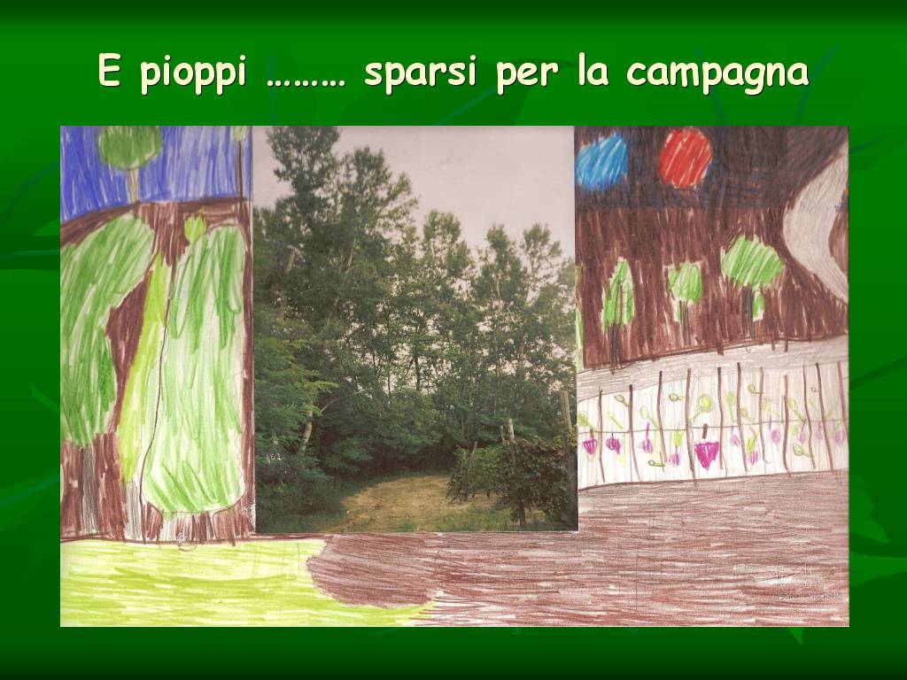 Progetto di Educazione Ambientale Territorio, Paesaggio, Patrimonio naturale Astigiano e nel Monferrato " CASTELBOGLIONE IERI  e OGGI"