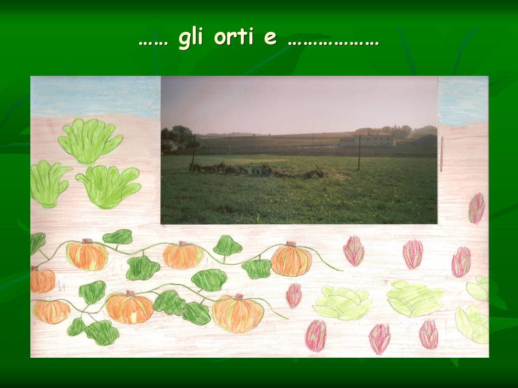 Progetto di Educazione Ambientale Territorio, Paesaggio, Patrimonio naturale Astigiano e nel Monferrato " CASTELBOGLIONE IERI  e OGGI"