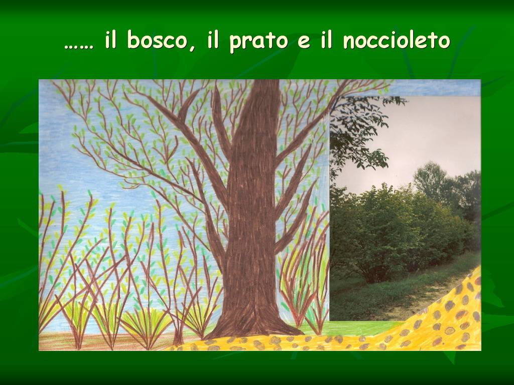 Progetto di Educazione Ambientale Territorio, Paesaggio, Patrimonio naturale Astigiano e nel Monferrato " CASTELBOGLIONE IERI  e OGGI"
