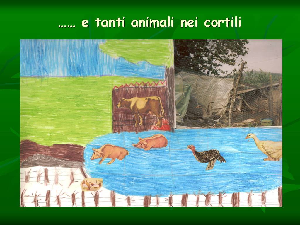 Progetto di Educazione Ambientale Territorio, Paesaggio, Patrimonio naturale Astigiano e nel Monferrato " CASTELBOGLIONE IERI  e OGGI"