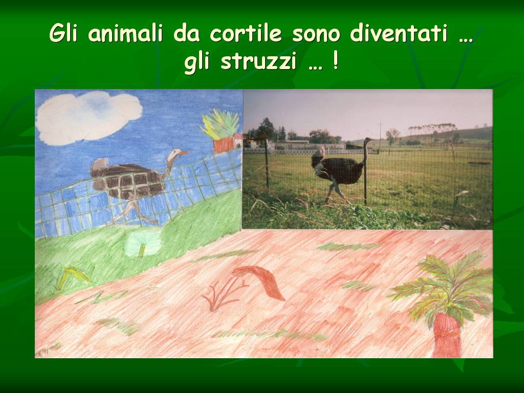 Progetto di Educazione Ambientale Territorio, Paesaggio, Patrimonio naturale Astigiano e nel Monferrato " CASTELBOGLIONE IERI  e OGGI"