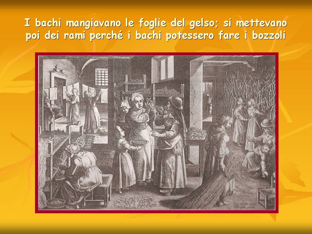 Progetto di Educazione Ambientale Territorio, Paesaggio, Patrimonio naturale Astigiano e nel Monferrato "DAL GELSO ALLA SETA"