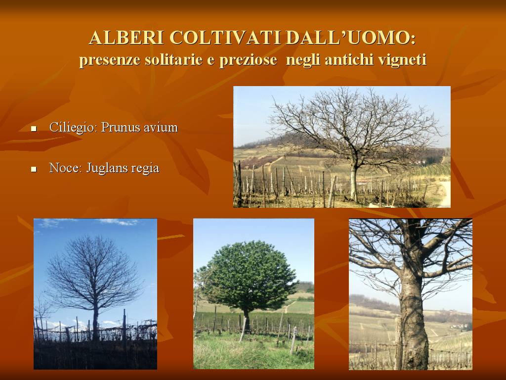 Progetto di Educazione Ambientale "Territorio, Paesaggio, Patrimonio naturale Astigiano e Monferrato"