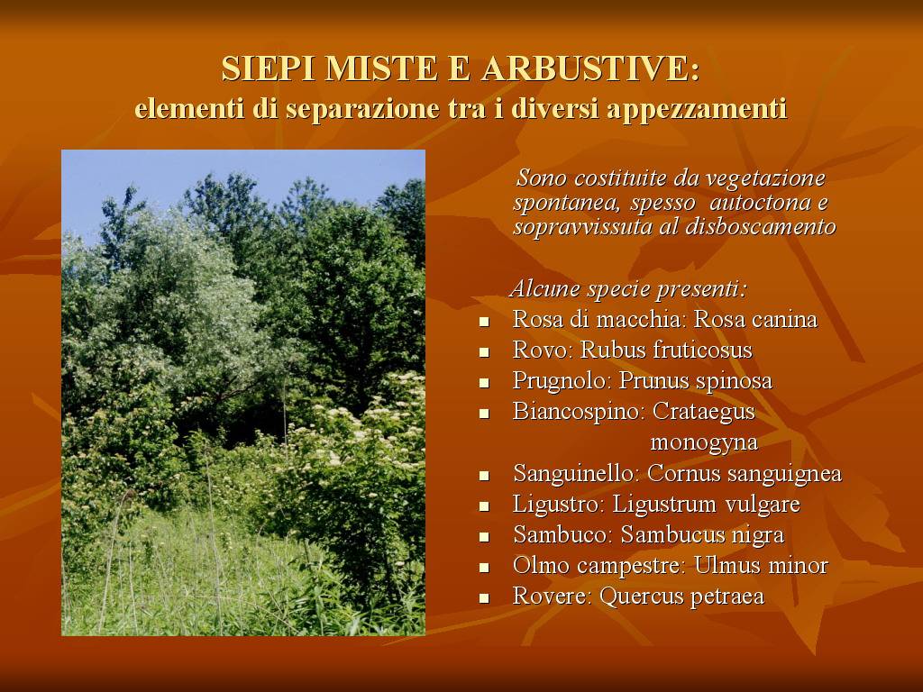 Progetto di Educazione Ambientale "Territorio, Paesaggio, Patrimonio naturale Astigiano e Monferrato"