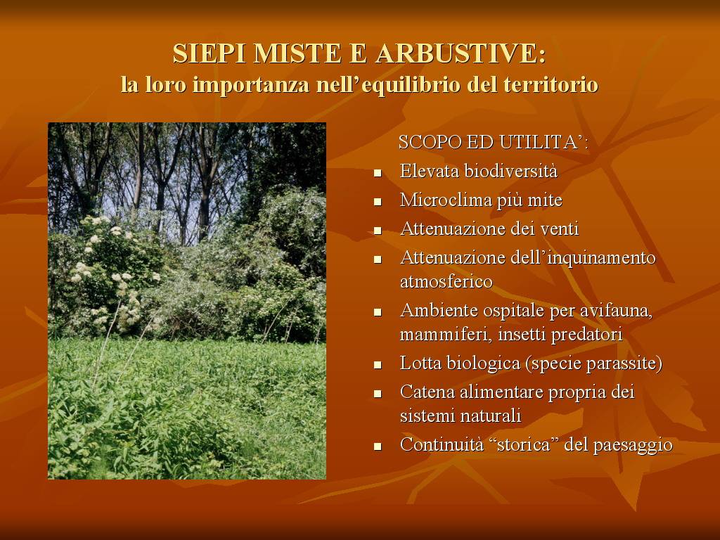 Progetto di Educazione Ambientale "Territorio, Paesaggio, Patrimonio naturale Astigiano e Monferrato"