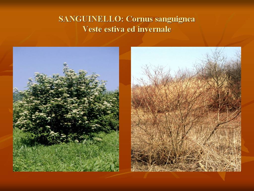 Progetto di Educazione Ambientale "Territorio, Paesaggio, Patrimonio naturale Astigiano e Monferrato"