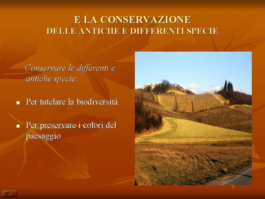 Progetto di Educazione Ambientale "Territorio, Paesaggio, Patrimonio naturale Astigiano e Monferrato"