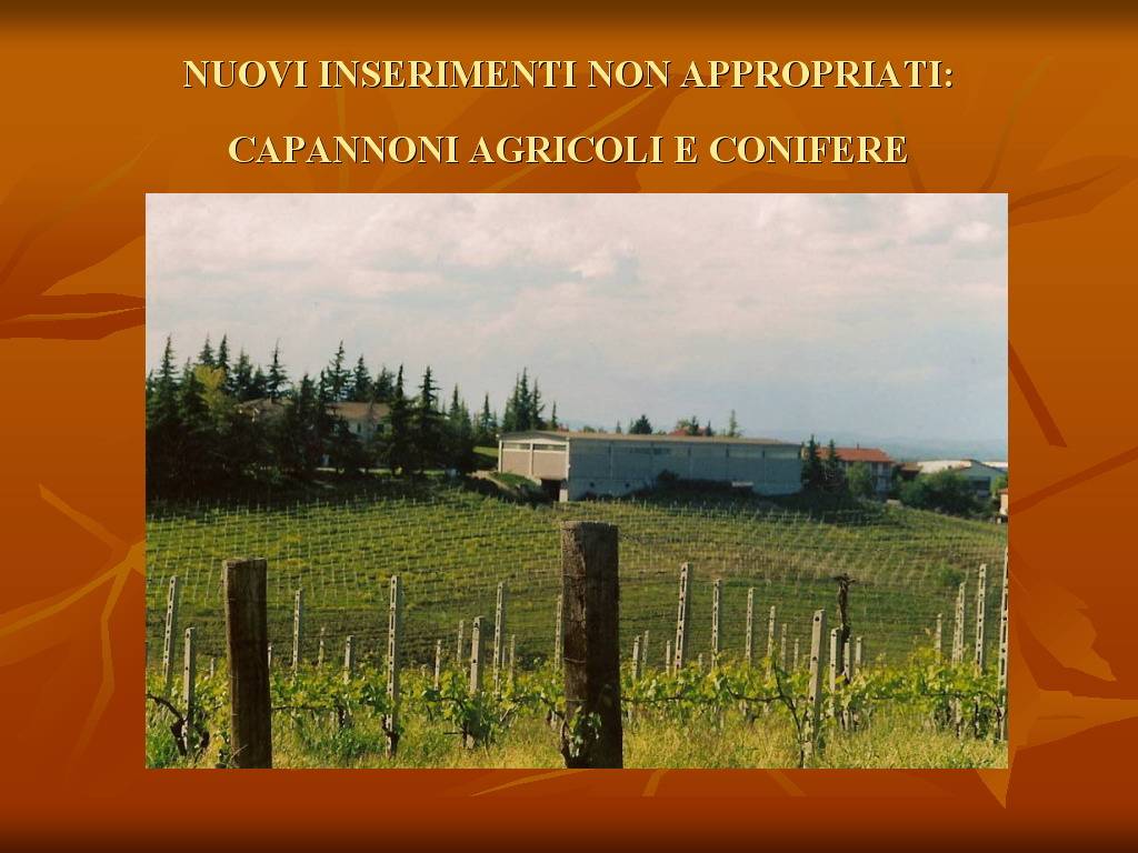Progetto di Educazione Ambientale "Territorio, Paesaggio, Patrimonio naturale Astigiano e Monferrato"