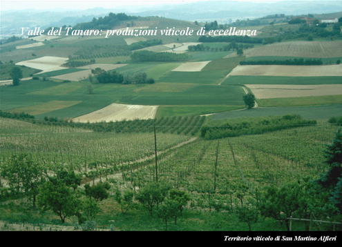 Relazione del Prof. Marco Devecchi (Facoltà di Agraria - Università di Torino) su Paesaggio, Vino e Agricoltura.