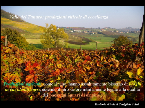 Relazione del Prof. Marco Devecchi (Facoltà di Agraria - Università di Torino) su Paesaggio, Vino e Agricoltura.