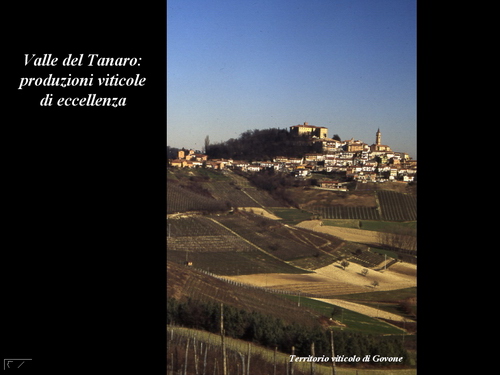 Relazione del Prof. Marco Devecchi (Facoltà di Agraria - Università di Torino) su Paesaggio, Vino e Agricoltura.