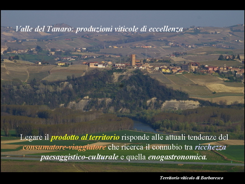 Relazione del Prof. Marco Devecchi (Facoltà di Agraria - Università di Torino) su Paesaggio, Vino e Agricoltura.