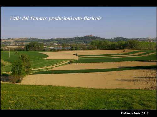 Relazione del Prof. Marco Devecchi (Facoltà di Agraria - Università di Torino) su Paesaggio, Vino e Agricoltura.