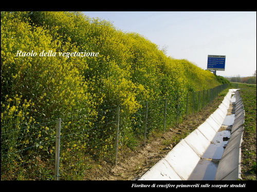Relazione del Prof. Marco Devecchi (Facoltà di Agraria - Università di Torino) su Paesaggio, Vino e Agricoltura.