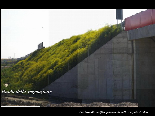 Relazione del Prof. Marco Devecchi (Facoltà di Agraria - Università di Torino) su Paesaggio, Vino e Agricoltura.
