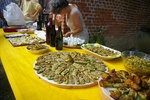 Immagini del Convegno di PRESENTAZIONE della Proposta di Dichiarazione di interesse pubblico del paesaggio Astigiano - Cortiglione Domenica 1 Luglio 2007