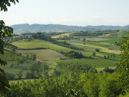Veduta del paesaggio agrario di Portacomaro (AT).