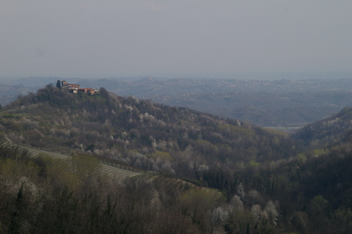 Ricchezza bioculturale dei paesaggi astigiani (Boschi di Muscandia).