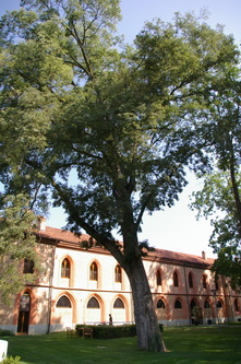 Veduta della Tenuta di Pollenzo, sede dell'Università degli Studi di Scienze Gastronomiche.