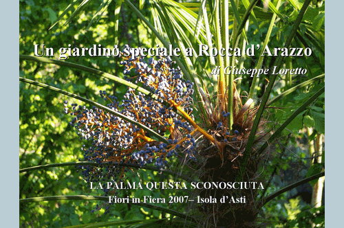 Un giardino speciale a Rocca dArazzo  di Giuseppe Loretto (Appassionato coltivatore)