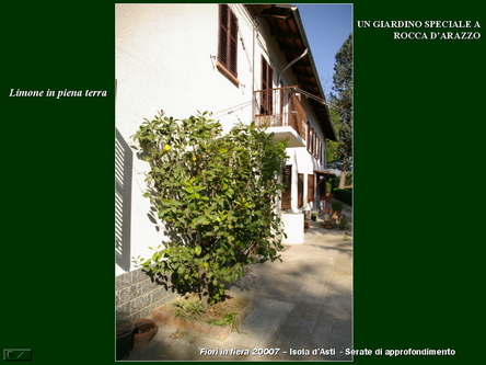 Un giardino speciale di Palme a Rocca dArazzo  di Giuseppe Loretto (Appassionato coltivatore)