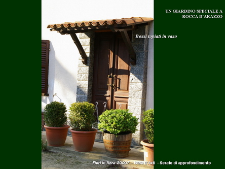 Un giardino speciale di Palme a Rocca dArazzo  di Giuseppe Loretto (Appassionato coltivatore)
