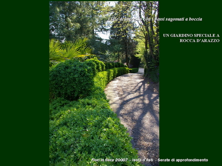 Un giardino speciale di Palme a Rocca dArazzo  di Giuseppe Loretto (Appassionato coltivatore)