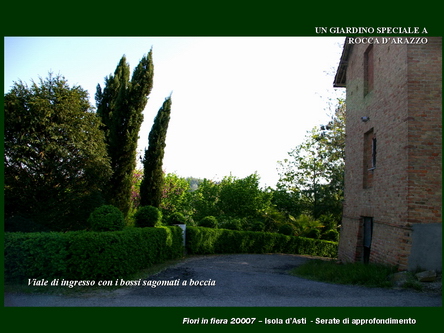 Un giardino speciale di Palme a Rocca dArazzo  di Giuseppe Loretto (Appassionato coltivatore)