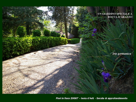 Un giardino speciale di Palme a Rocca dArazzo  di Giuseppe Loretto (Appassionato coltivatore)