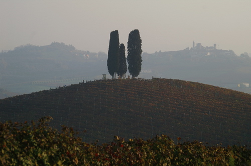 Veduta d’insieme dell’azienda vitivinicola di Michele Chiarlo a Castelnuovo Calcea, premiata lo scorso anno per i singolari inserimenti artistici all’interno dei vigneti.