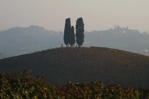 Veduta dinsieme dellazienda vitivinicola di Michele Chiarlo a Castelnuovo Calcea, premiata lo scorso anno per i singolari inserimenti artistici allinterno dei vigneti.