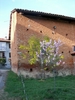 MOSTRA FOTOGRAFICA "Il bello, il brutto e il cattivo" - Teatro San Giovanni a Villafranca d Asti - Domenica 27 maggio 2007.