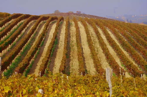  Vigneti acquerellati dell'Astigiano nella tipica veste autunnale