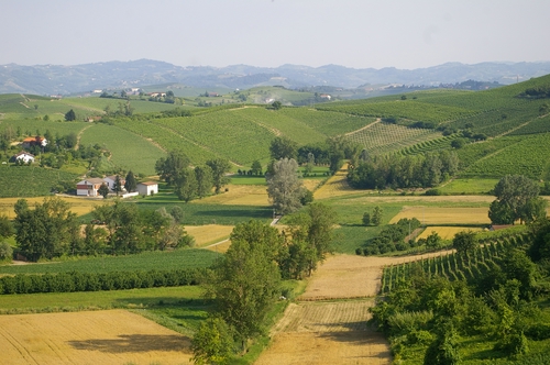Veduta del paesaggio agrario nel Comune di Mombercelli