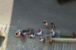Foto della visita al grattacielo di Corso Dante  di Asti nell'ambito della Rassegna VerdeTerra 2007.