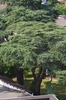 Foto della visita al grattacielo di Corso Dante  di Asti nell'ambito della Rassegna VerdeTerra 2007.