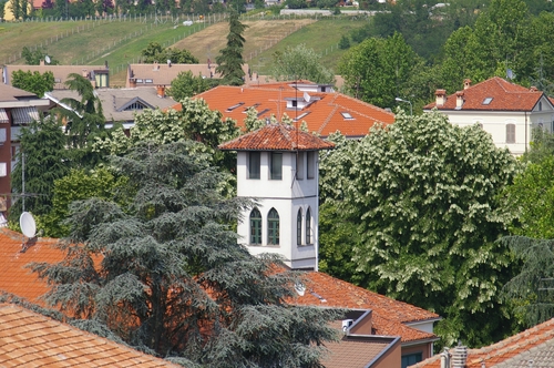 Foto della visita al grattacielo di Corso Dante  di Asti nell'ambito della Rassegna VerdeTerra 2007.