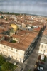 Foto della visita alla Torre Comentina di Piazza Roma ad asti nell'ambito della Rassegna VerdeTerra 2007.