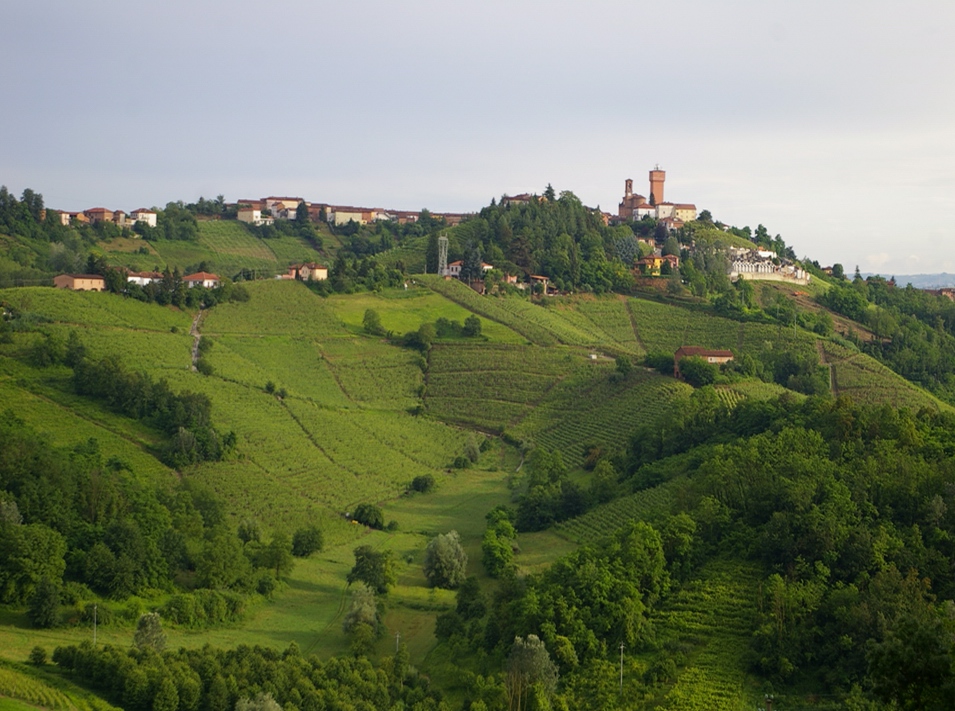 Veduta del pregevolissimo paesaggio agrario di Mongardino (AT).