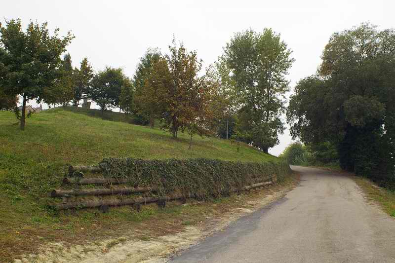 Intervento di Ingegneria naturalistica sulle colline dell'Astigiano per il consolidamento di una scarpata franosa a Cossombrato (AT).